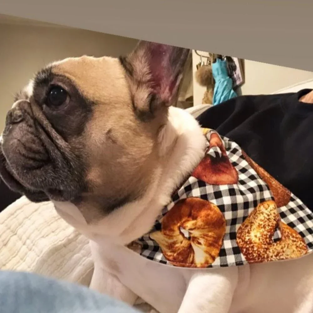 handmade dog bandana dog accessories adjustable snaps gifting gift ideas